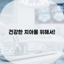 365서울탑플란트치과의원 네이버블로그