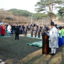 만우솔밭 이미지