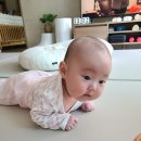 설아떡공방 | 눈물 젖은 백일잔치(함지떡공방,뮤테이블)
