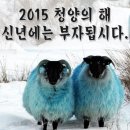 샛별로또 이미지