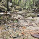 대동사 약수터 이미지