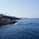 동문동로 이미지