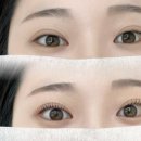 노약국 | [천안 노글루 속눈썹펌] 자극 없는 속눈썹펌 맛집 뷰티엘리도 브로우속눈썹&amp;눈썹 내돈내산 후기💕