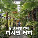 동읍617 | 창원동읍 드라이브카페추천 퍼시먼커피 (창원대형카페, 주남저수지카페 추천)