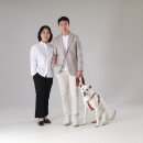 야탑 반려견 이미지