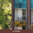 핑스애견펜션