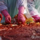 구미엔 서울김치 이미지