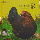 오리랑꼬꼬랑 이미지