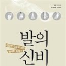 신비메디칼
