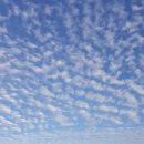 우당약국 이미지