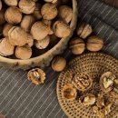 웰힐링협동조합 이미지