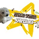 영흥오리구이