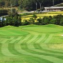 금일프라자 이미지