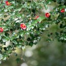 신흥2리마을 이미지