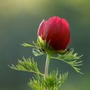 한옥민박 이미지