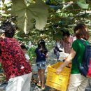 예성농장 이미지