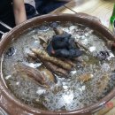 정춘자 왕코다리찜,능이오리백숙 이미지