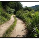 송이네민박 이미지