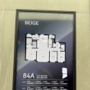 씨티캐슬 | [내집마련] 계양 롯데캐슬 파크시티 분양아파트 매매 후기🏠 1탄