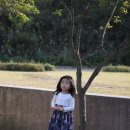 수주머리나라 이미지