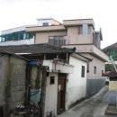 고향의봄길 이미지