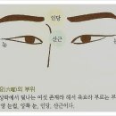 관상학 이미지