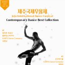제1회 제주국제무용제 티스토리