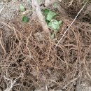 대목농장 이미지