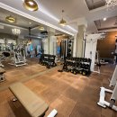 강남-230 이미지