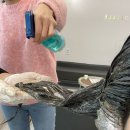 오벨르 헤어 | 톤다운 밀본염색 | 겨울 맞이 카키브라운 후기