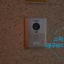 그린비디오 이미지