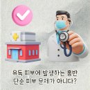 류마이준희내과의원 | 부산 중구 류마내과 의원과 알아보는 이유 없는 관절 통증의 원인