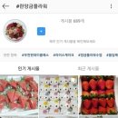란앙금플라워 이미지
