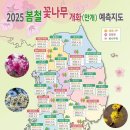 개화 티스토리