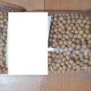 평산관 합기도 이미지