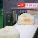 혼밥시대