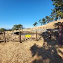 면사무소 ~ 향촌마을 | 거제도 서부권 여행