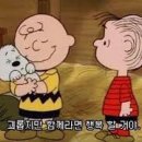 엑셀휘트니스 이미지