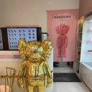 카우스스시 네이버블로그