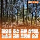 해오름어린이공원 | 남동구 도심 속 산책하기 좋은곳! 해오름 호수 공원 산책로, 늘솔길 공원 무장애 숲길 방문 후기