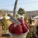 으뜸50(일산원당점) | 일산고양 원당카페 배다골베이커리하우스 재방문후기