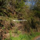 돼지부동산중개사사무소 이미지