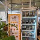 용인종합운동장(주차장입구쪽) | 용인 애견운동장 테일즈파크 반려견동반 카페 수원 실내 공간 중심