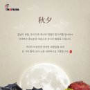레푸스동탄