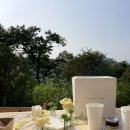 피크닉케이크 이미지