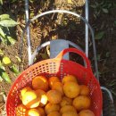 세용 농장 이미지