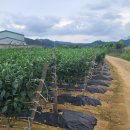 강변 태양광발전소 이미지