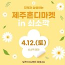 꽃보다프리마켓협동조합 | 제주혼디마켓 in 쇠소깍, 소랑동백의 특별한 하루
