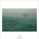 전제만목장 이미지