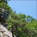 진고개공원 이미지